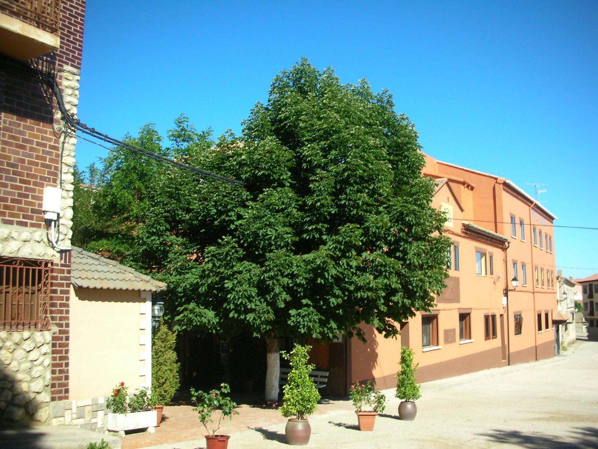 Hotel Suiza Bronchales Exterior foto